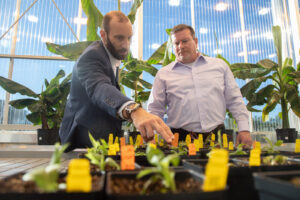 Matt DiLeo and Todd Rands pointing to plants in a greenhouse