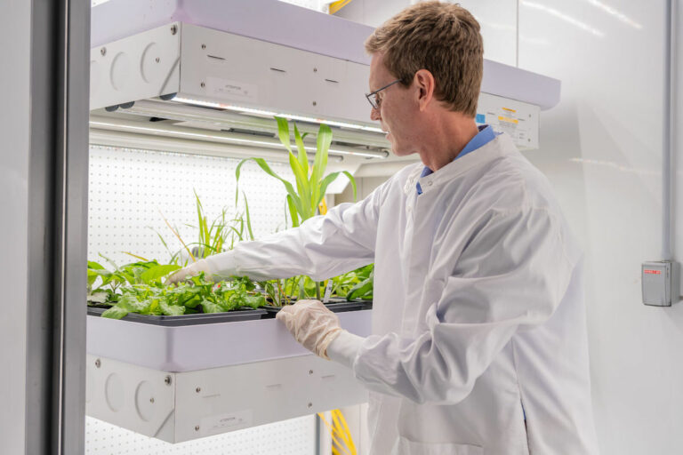 male scientist grabbing for plants in a lab