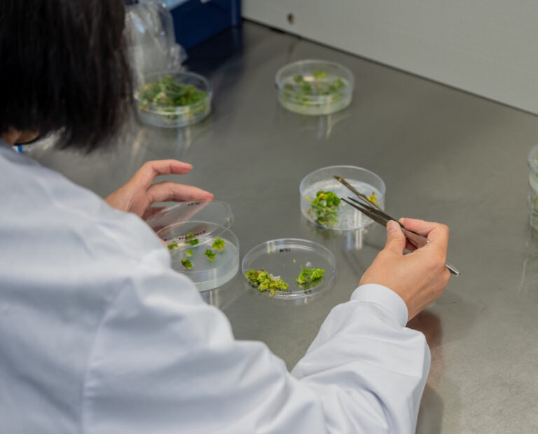 scientist with plants in lab