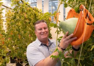 Todd Rands Watermelon Plant