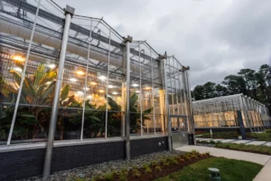 Elo greenhouse